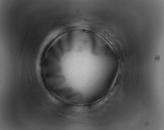 X0000102830245200809021320