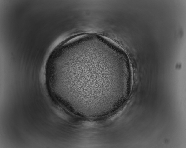 X0000102830246200809021320