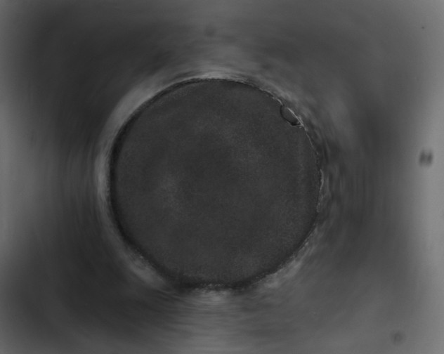 X0000102830247200809021320