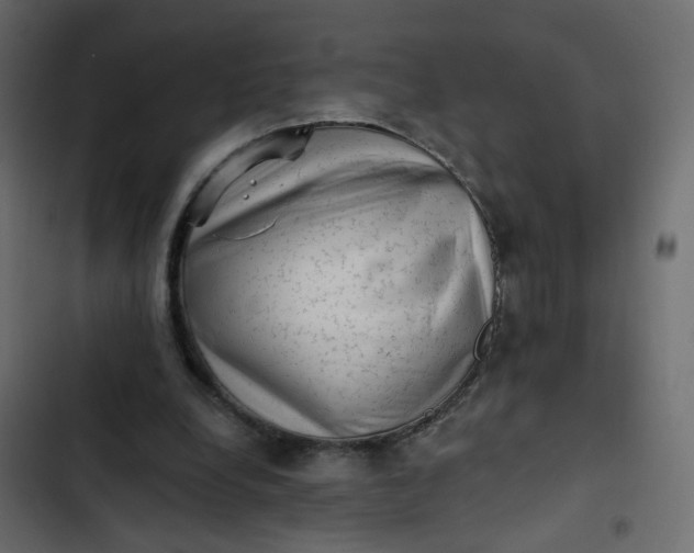 X0000102830248200809021320