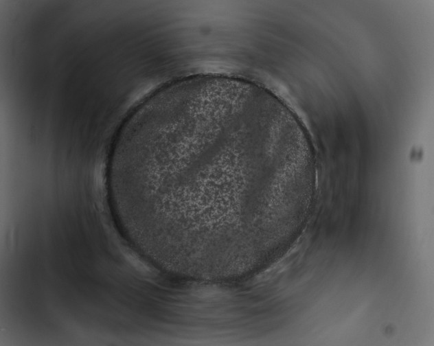 X0000102830249200809021320