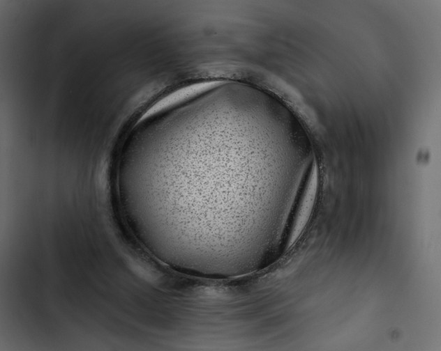 X0000102830250200809021320