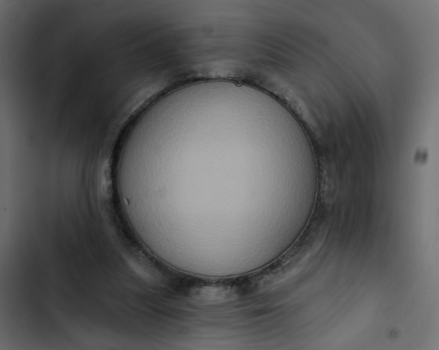 X0000102830251200809021320