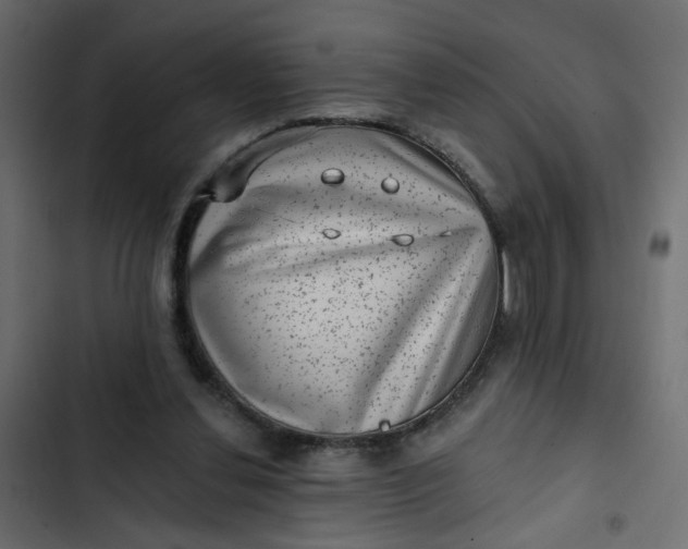 X0000102830252200809021320