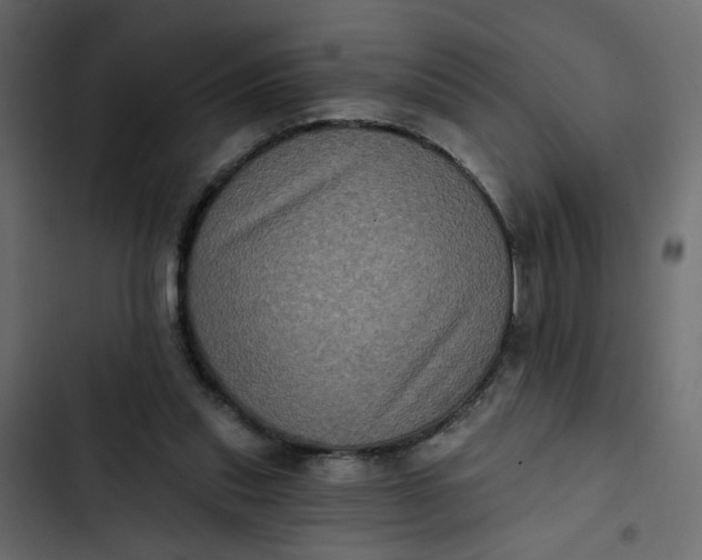 X0000102830253200809021320