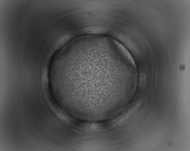 X0000102830254200809021320