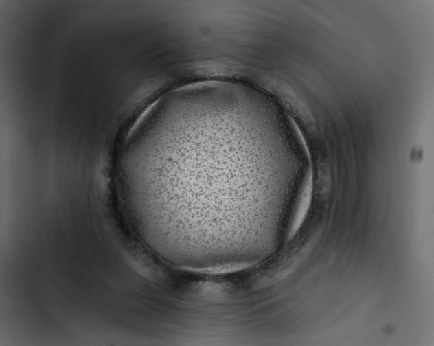 X0000102830255200809021320