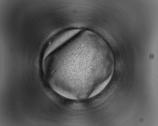 X0000102830256200809021320