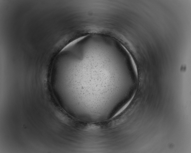 X0000102830257200809021320