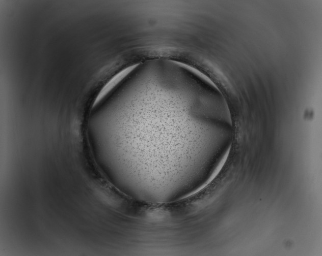 X0000102830258200809021320