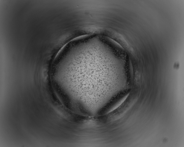 X0000102830259200809021320