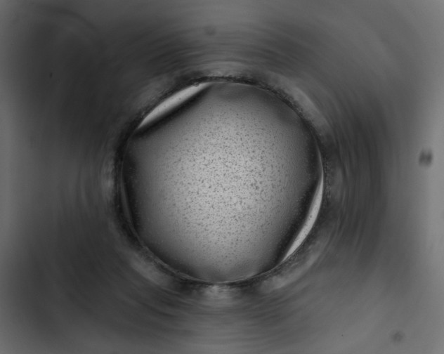 X0000102830261200809021320