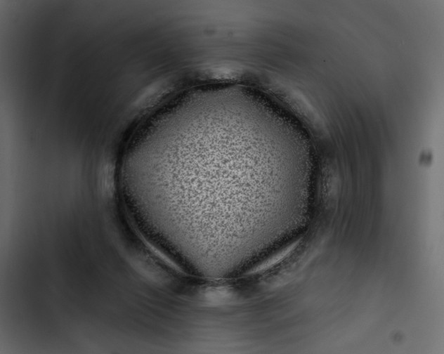 X0000102830262200809021320