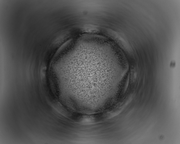 X0000102830263200809021320