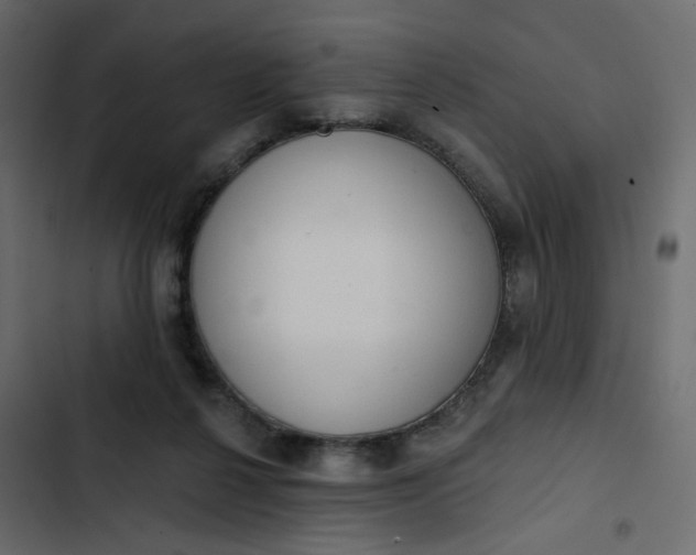 X0000102830264200809021320