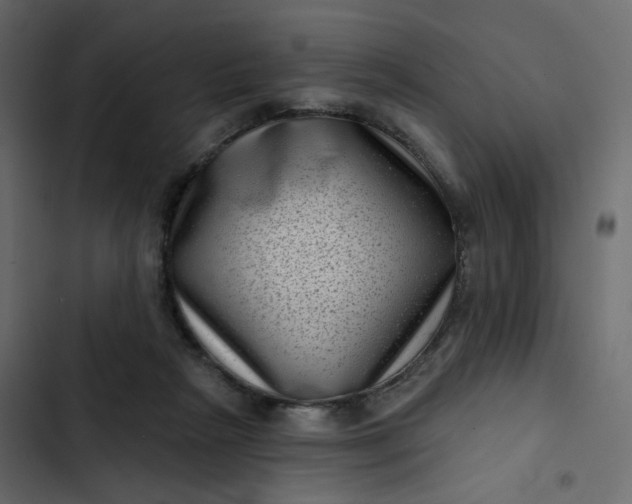 X0000102830265200809021320