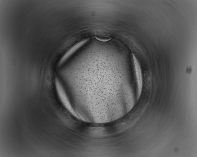 X0000102830266200809021320