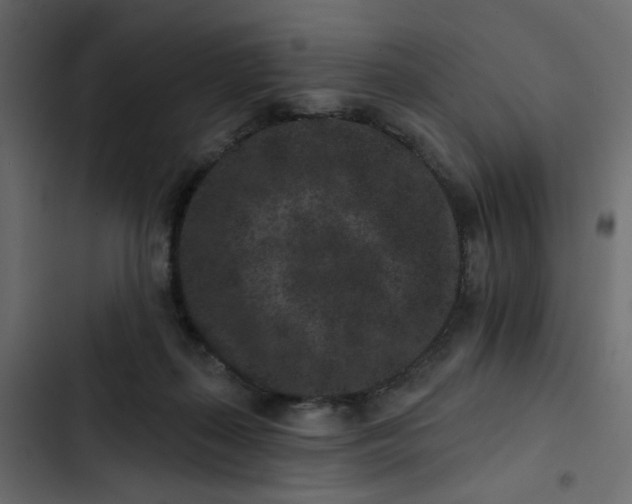 X0000102830267200809021320