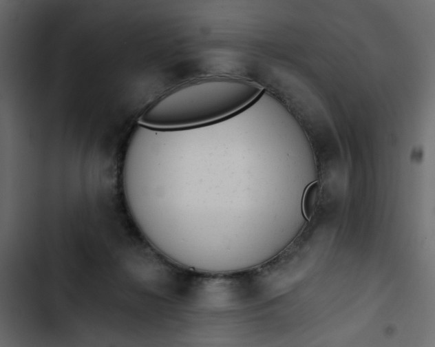 X0000102830268200809021320