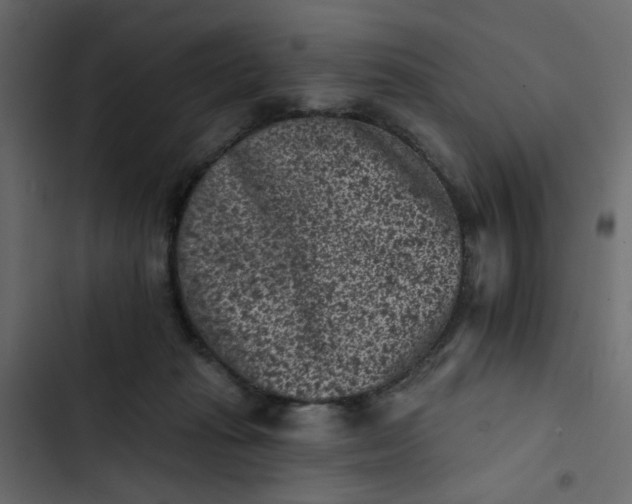 X0000102830269200809021320