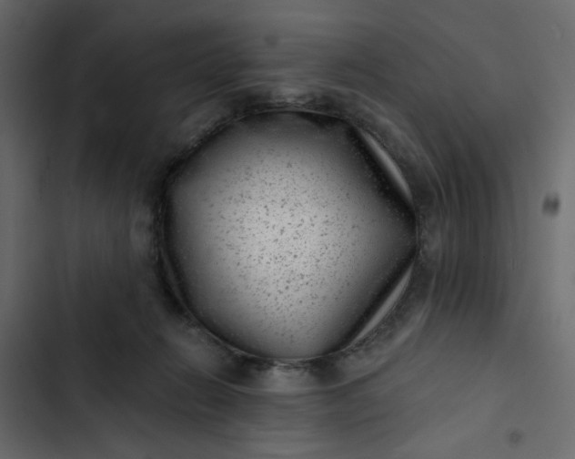 X0000102830270200809021320