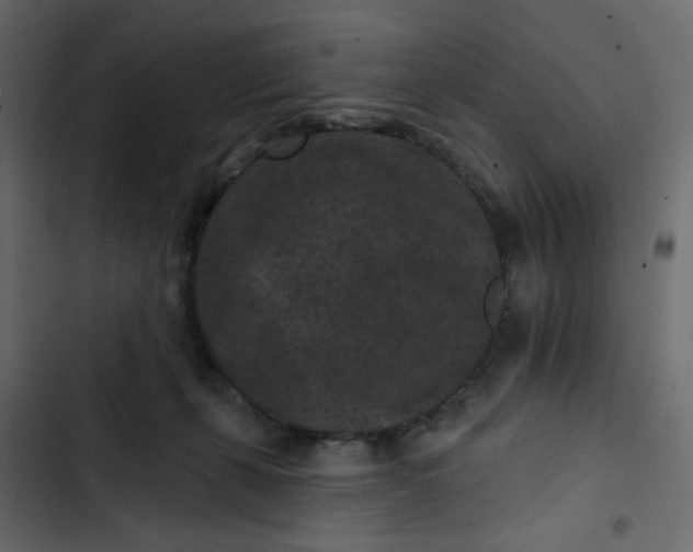 X0000102830271200809021320