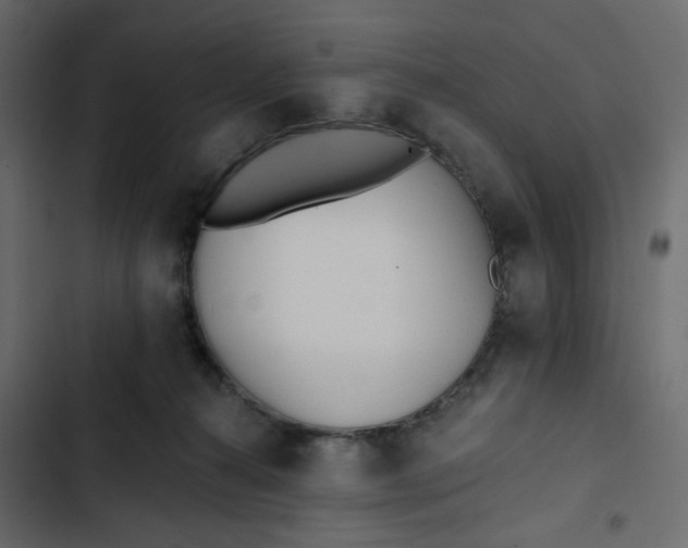 X0000102830272200809021320