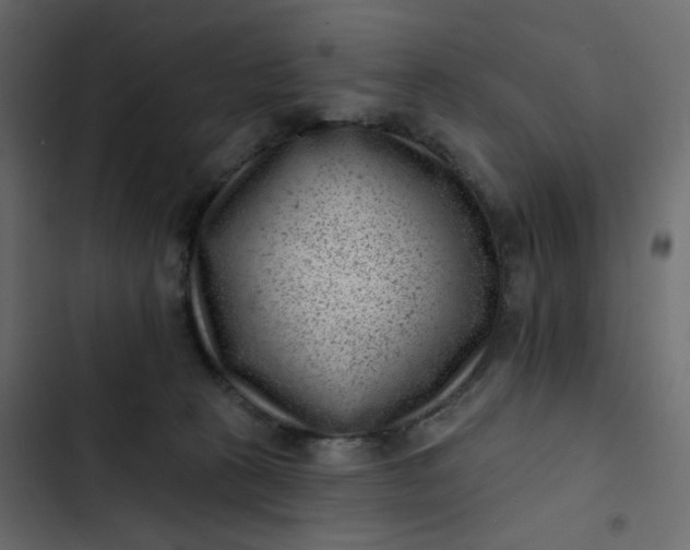 X0000102830273200809021320