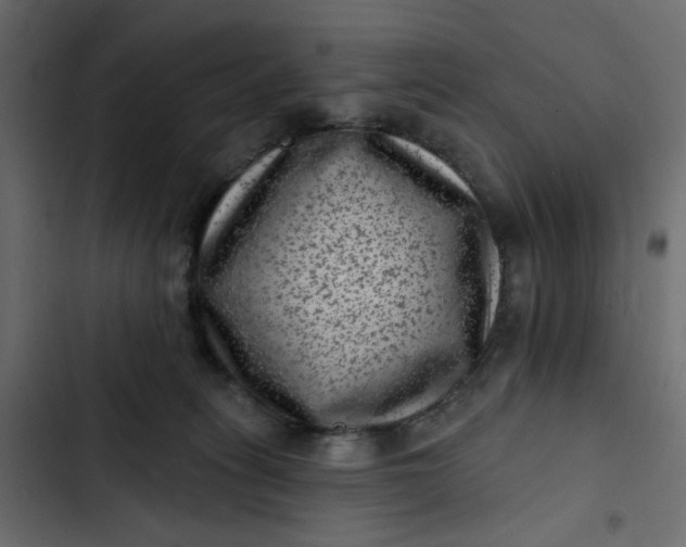 X0000102830275200809021320