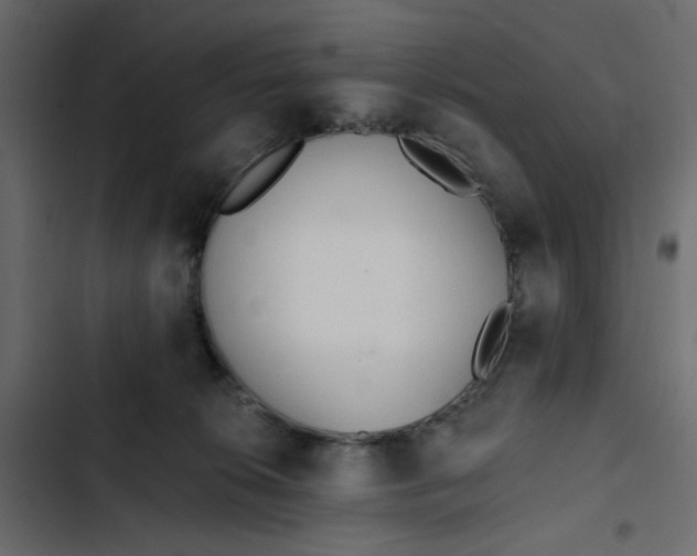 X0000102830276200809021320