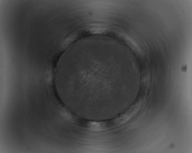 X0000102830277200809021320