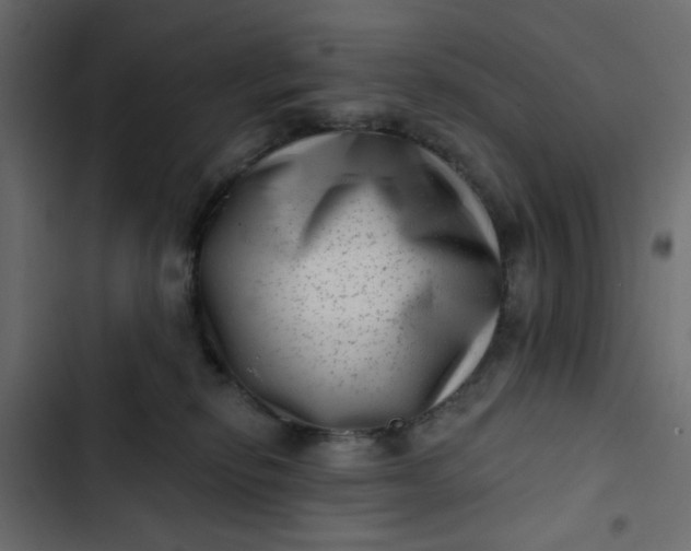 X0000102830278200809021320