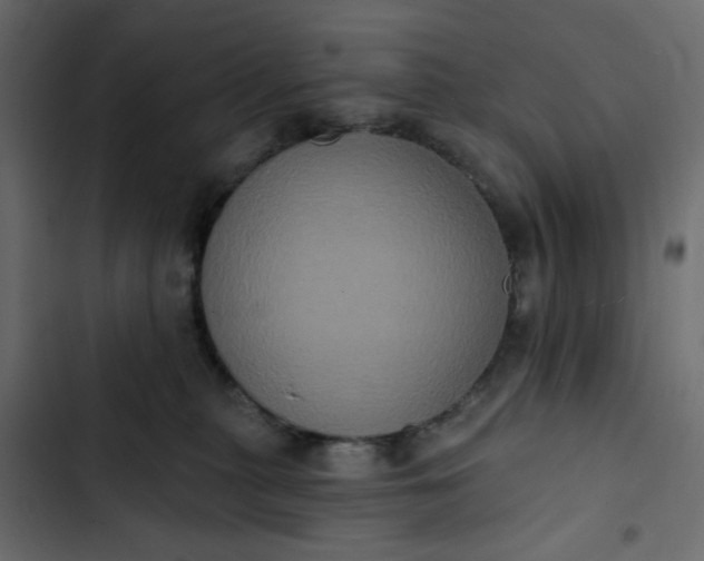 X0000102830279200809021320