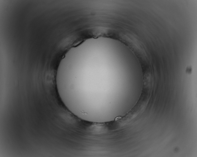 X0000102830280200809021320