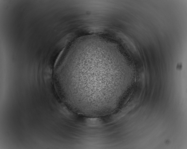 X0000102830281200809021320