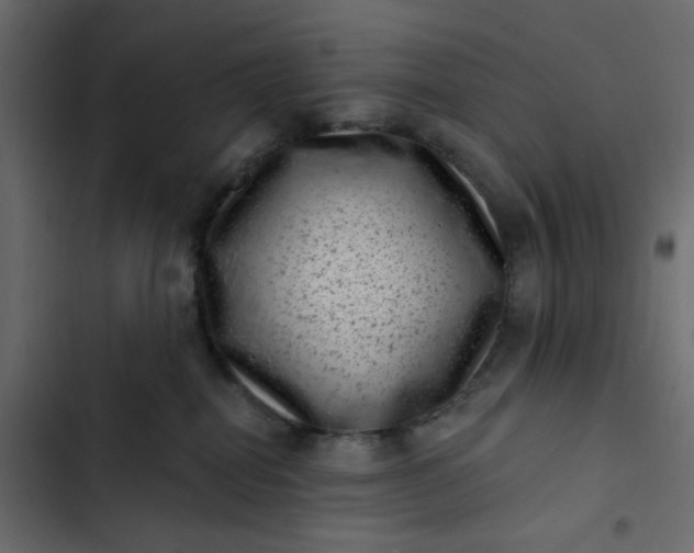 X0000102830282200809021320