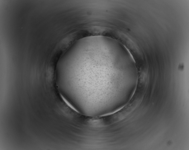 X0000102830283200809021320