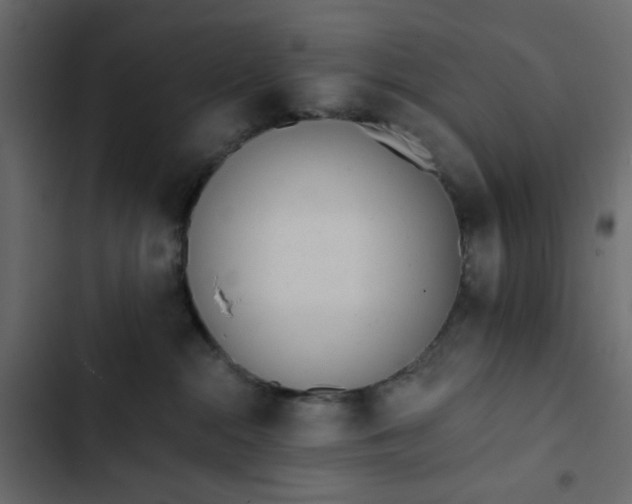 X0000102830284200809021320