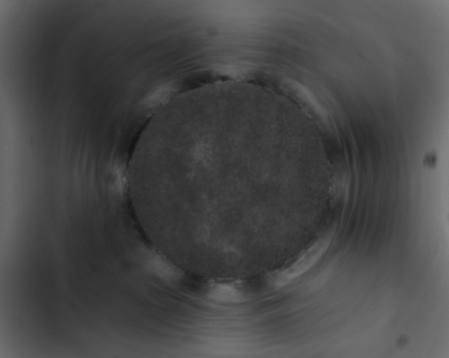 X0000102830285200809021320