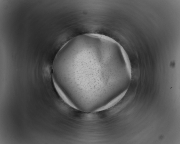 X0000102830286200809021320