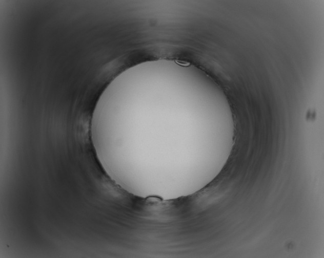 X0000102830288200809021320