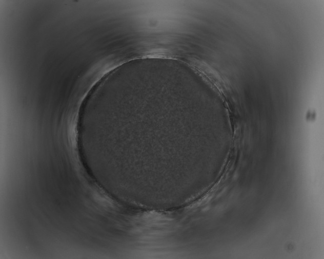 X0000102830290200809021320