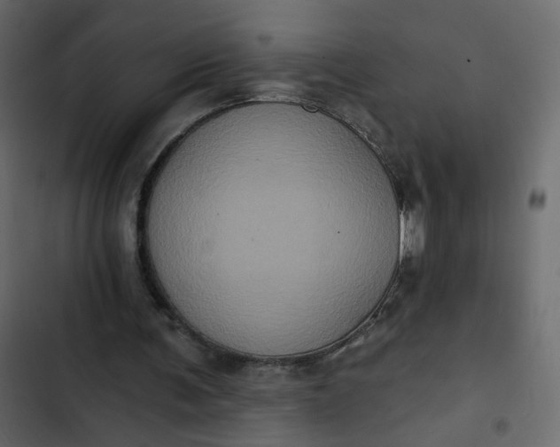 X0000102830291200809021320