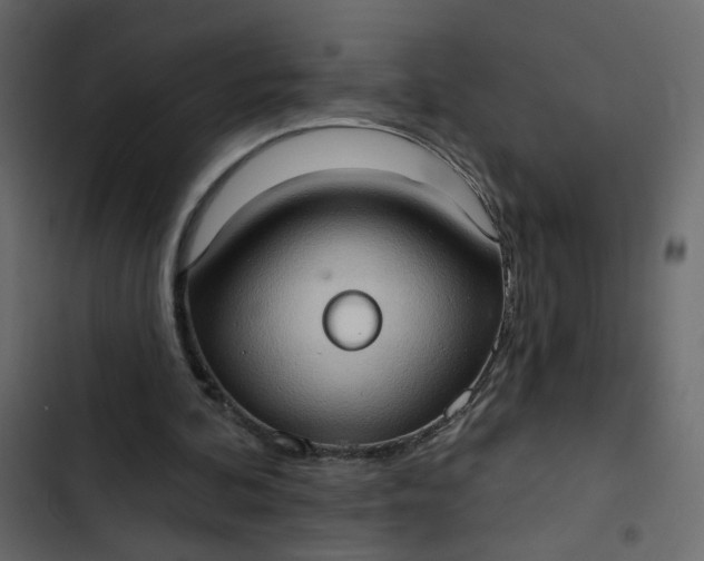 X0000102830292200809021320