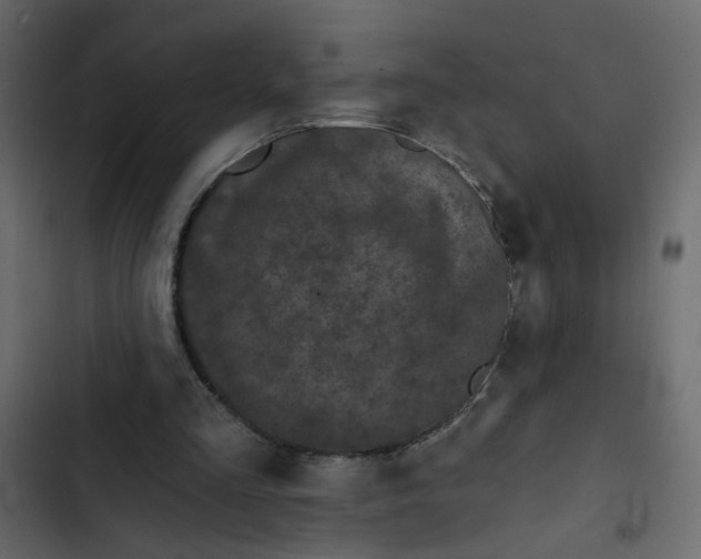 X0000102830293200809021320