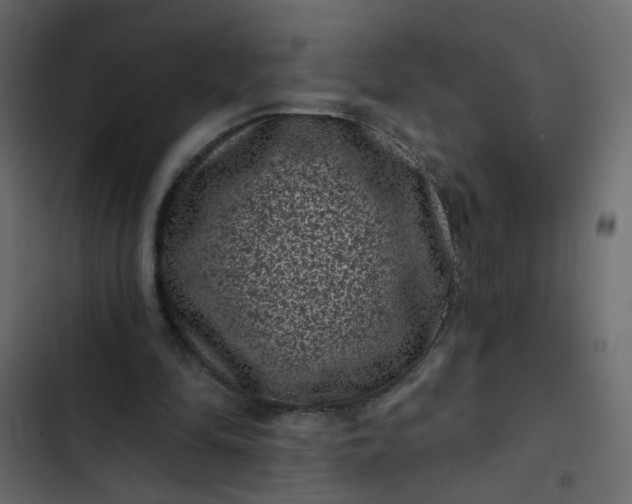 X0000102830294200809021320