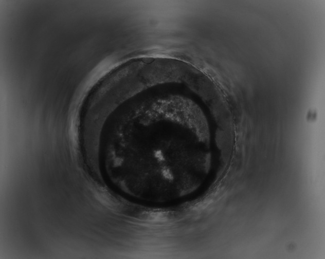 X0000102830295200809021320