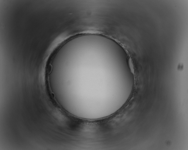 X0000102830296200809021320