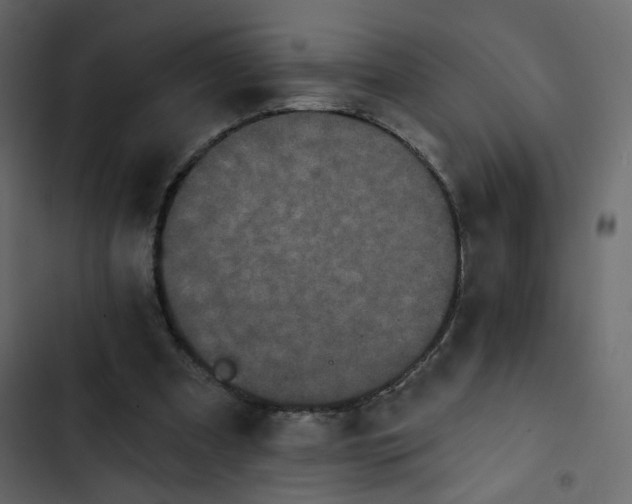 X0000102830297200809021320