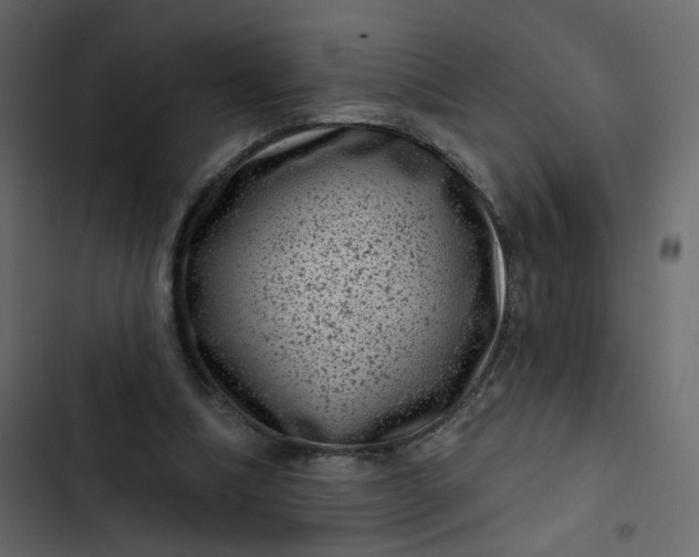 X0000102830298200809021320